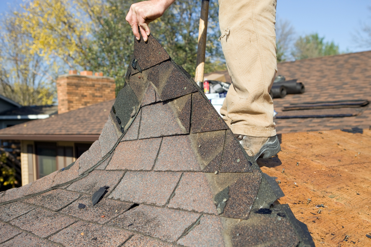 Top 7 Signs Your Roof Needs Immediate Repair